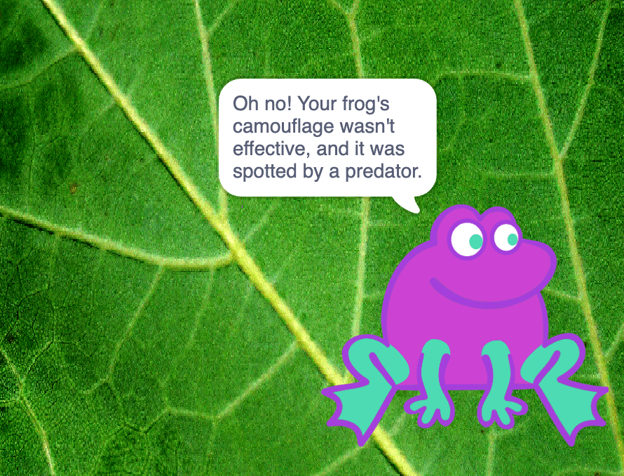 A screenshot from my scratch program showing a well camouflaged frog saying, "Oh no! Your frog's camouflage wasn't effective, and it was spotted by a predator."
