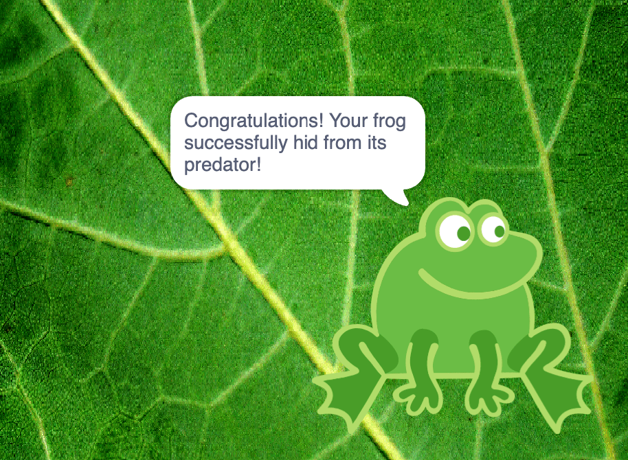 A screenshot from my scratch program showing a well camouflaged frog saying, "Congratulations! Your frog successfully hid from its predator!"